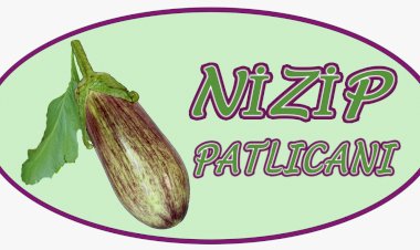 NTO Nizip Patlıcanı’nı Tescilledi